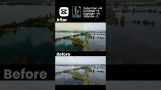 CapCut Easy Color Grading for Beginners | Quick Tutorial #capcut #shorts