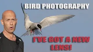BIRD PHOTOGRAPHY WITH THE SONY A1 - 