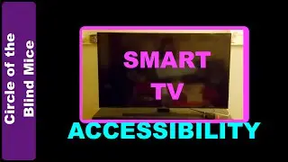 Smart TV Accessibility / Low Vision Assistive Tech