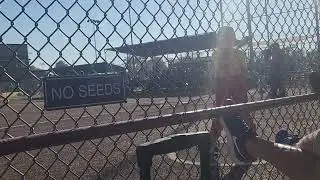 Kay.mcpsycho.close.call.fall.12u.ark