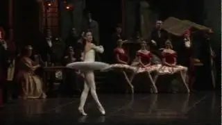 Petra Conti, Don Kichote