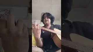 Hotel California reimagined. A single guitar attempt at the masterpiece. 
