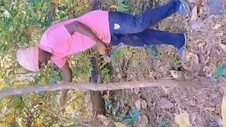 #punjabi #viral #video Dunya ka sabse bada jangal me gumne gaye hain