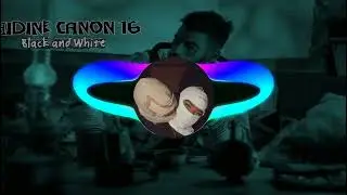 Didine canone 16 - black and white [mix by - lonely]