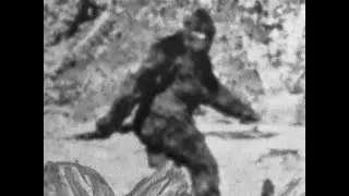 Bigfoot Sighting At Skinwalker Ranch???
