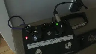 Toneczar Powerglide Tremolo into 3 Monkeys Organ Grinder with Shyboy Strat
