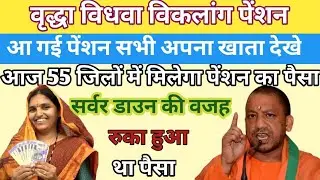 UP वृद्धा विधवा विकलांग पेंशन 3000 आज इन जिलों में मिला |up vridha vidhwa viklang pension kab aayegi