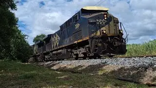 Dupla de ac44i, com trem de Carga Geral, passando em Itakamozi RJ.