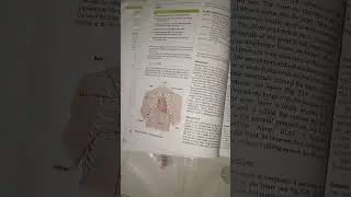 b pharma student