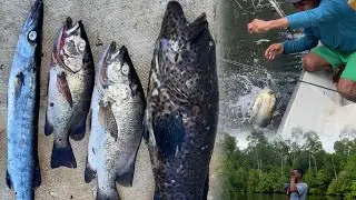 Stike🎣 Terlambat tarik tali pancing putus 