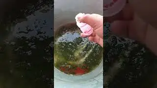 a mixture of moss without essence, only using fermented milk, very good