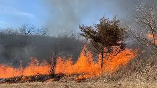 Why do a Prescribed Burn?