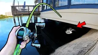 Fishing a Local Pond that's INFESTED with Big Bass (Public Pond Bass Fishing)