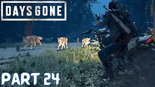 A War We Can Win | Days Gone | Gameplay #24