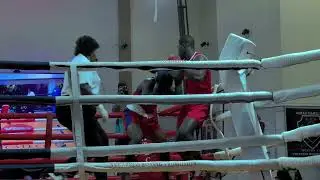 First Round Knockout by Young Prospect 🥊