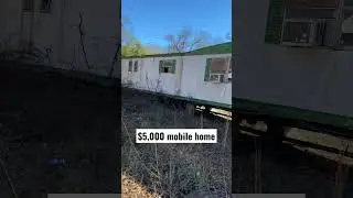 Another $5,000 mobile home !