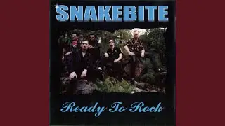 Can&acute;t Stop Rockin'