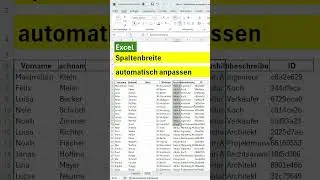 Spalte automatisch an Text anpassen &harr;️, bei zu langem Text in Excel ist - automatische Spaltenbreite