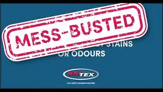 BRI0145 Mess Busters Cat Lady 1200x630