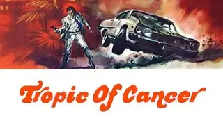 al tropico del cancro: closing theme