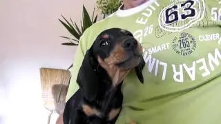 Tacsk&oacute;
