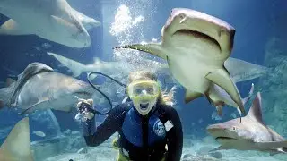 10 Adventure Activities In Dubai To Give You An Adrenaline Rush!