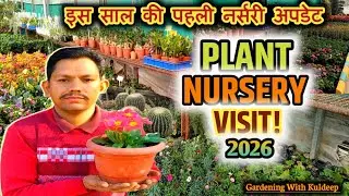  Roadside Plant Nursery Visit  | January Plant Nursery Visit 2026 | Cheapest Plant 
