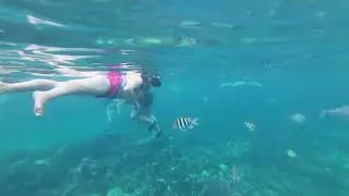 Snorkeling in Nassau, Bahamas