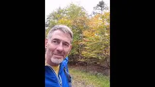 Spaziergang im Wald bei K&auml;fertal, Viernheim bis  Lampertheim Neuschloss