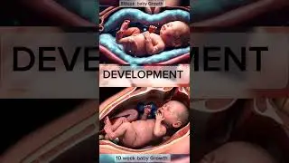 8-10 Week Fetal Development | Pregnancy Milestones #pregnancy #weekbyweek #unbornbaby