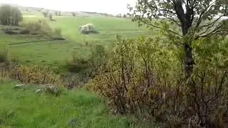 Dimili-Deş Yaylası Karer