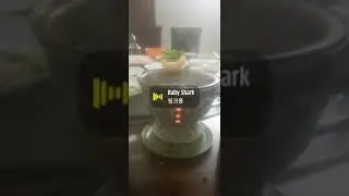 Babylicious Song 2023.