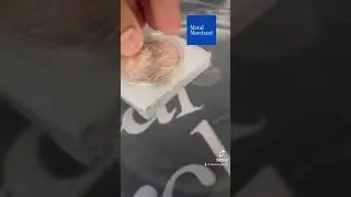 Testing Silver #fakesilver #testingsilver #preciousmetals #gold #silver #fakegold #silverhusky