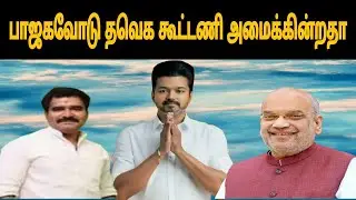 பாஜகவோடு தவெக கூட்டணி அமைக்கின்றதா |tvk |bjp |thalapathy tv 