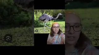 Darwin's Rhea Discovery