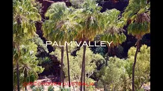 PALM VALLEY