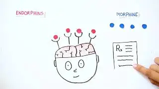 What is Morphine?