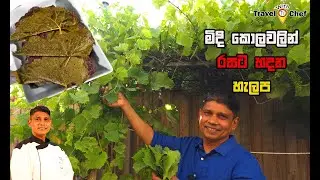 How to make kurakkan halapa/Sri Lankan Chef/cooking tutorial/travel
