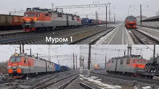 движение грузовых поездов по станции Муром Гор.ж.д. | ноябрь 2021