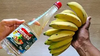 MORRIA E NÃO SABIA: É só usar VINAGRE com BANANA e não não gasto mais o meu dinheiro