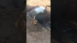 குல தெய்வம்