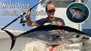 NJ Inshore Bluefin & Yellowfin Tuna Topwater Combo Trip