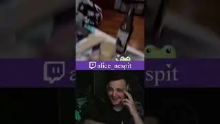 Девочки, Вы упали #twitchclips #twitch #girl #funny #clips #shorts #alice_nespit #fun #fyp