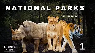 National parks of India| Map animation|state wise National park|#nationalparksofindia
