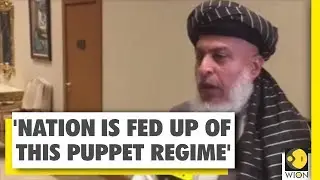 WION speaks to Taliban's political chief Abbas Stanikzai | WION Exclusive