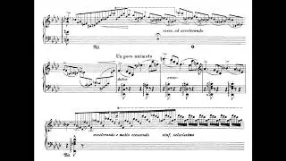 The Composer Flo Menezes playing Liszt's Ricordanza
