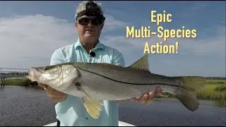 Multi-Species Fishing Snook, Tarpon And Redfish (Part 1)