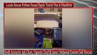 Locals Rescue Python Found Inside Tourist Bus at Mandrem