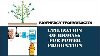 Bioenergy Technologies: Utilization of biomass for power production#bioenergy