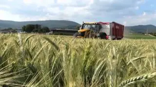 Landwirtschaftliches Lohnunternehmen Stefan Schimo bei der Ernte 2014